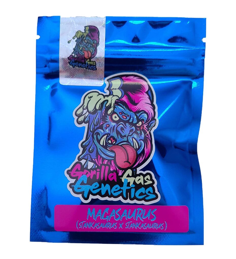 Megasaurus strain