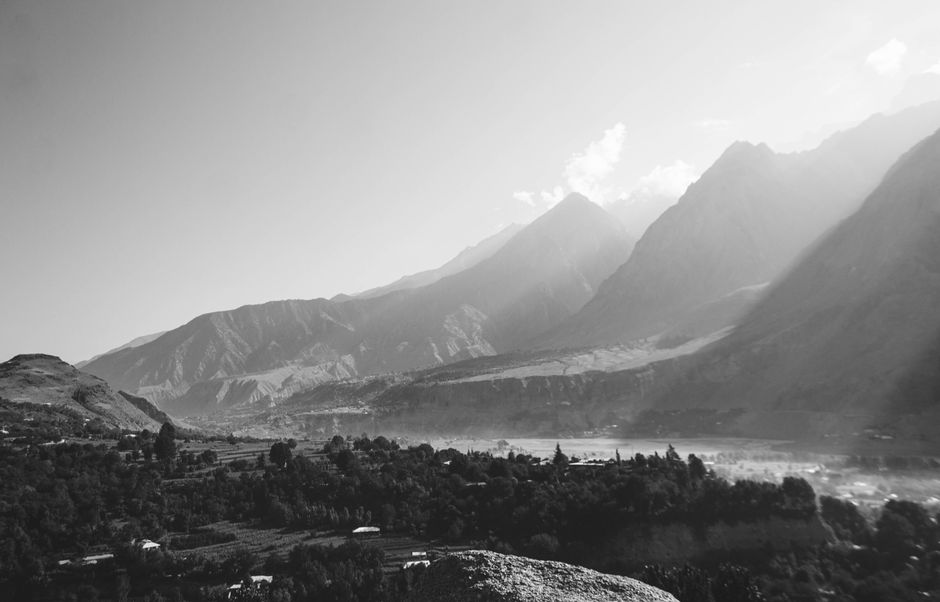 Cannabis plants growing in a mountain valley landscape